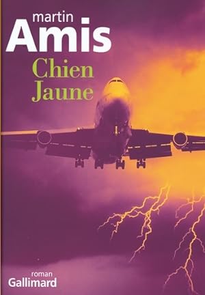 Imagen del vendedor de Chien jaune - Martin Amis a la venta por Book Hmisphres