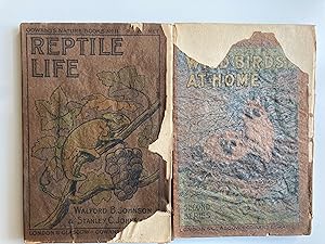 Gowans's Nature books. Four books : Reptile life, Pond and stream life, Wild birds at home - Seco...