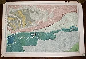 Large Hand Coloured Geological Ordnance Survey MAP SHEET 8 Guildford SURREY Geological Survey of ...