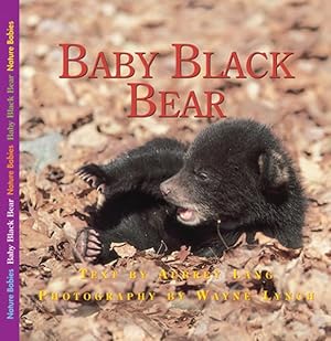 Seller image for Adventures of Baby Bear for sale by GreatBookPrices