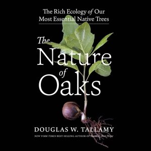 Bild des Verkufers fr Nature of Oaks : The Rich Ecology of Our Most Essential Native Trees - Library Edition zum Verkauf von GreatBookPrices