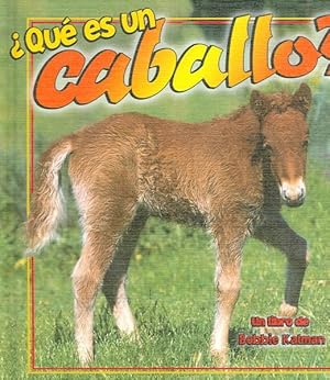 Seller image for Que Es Un Caballo?/ What Is a Horse -Language: Spanish for sale by GreatBookPrices