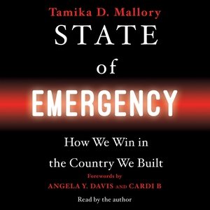 Seller image for State of Emergency : How We Win in the Country We Built for sale by GreatBookPrices