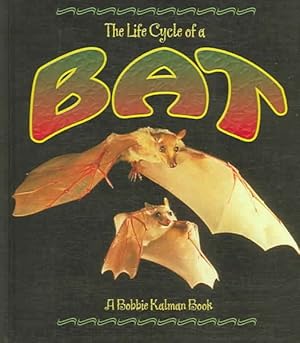 Seller image for Life Cycle of a Bat for sale by GreatBookPrices