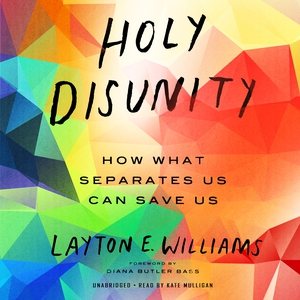 Seller image for Holy Disunity : How What Separates Us Can Save Us for sale by GreatBookPrices