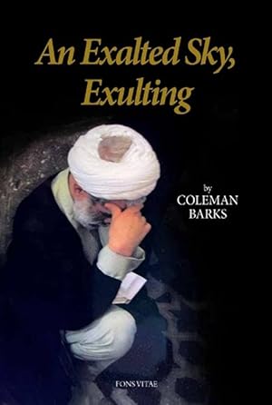 Seller image for An Exalted Sky, Exulting (Paperback) for sale by Grand Eagle Retail