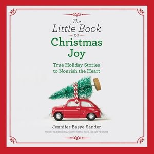 Seller image for Little Book of Christmas Joy : True Holiday Stories to Nourish the Heart for sale by GreatBookPrices