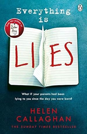Imagen del vendedor de Everything Is Lies: From the Sunday Times bestselling author of Dear Amy a la venta por WeBuyBooks 2