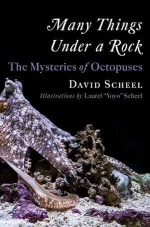 Seller image for Many Things Under a Rock : The Mysteries of Octopuses for sale by GreatBookPrices