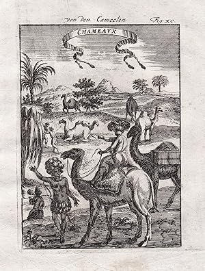 Image du vendeur pour Chameaux / Fig. XC." - Camel Camels Kamel Kamele mis en vente par Antiquariat Steffen Vlkel GmbH