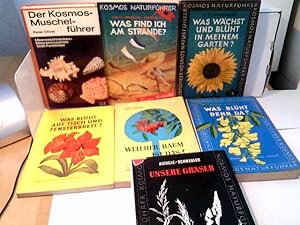 Konvolut: 7 diverse Bände Kosmos- Naturführer / Muschelführer.