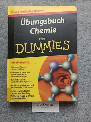 Übungsbuch Chemie für Dummies : Übung macht den Meister! - Auf einen Blick: Elemente, Atome, Säur...