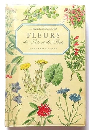 Fleurs des prés et des bois.