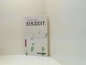 Immagine del venditore per Eiszeit: Eine unwirkliche Geschichte eine unwirkliche Geschichte venduto da Book Broker