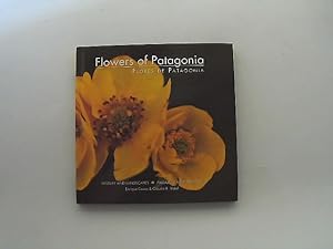 Seller image for Flowers of Patagonia for sale by Das Buchregal GmbH
