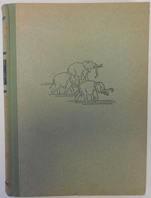 Image du vendeur pour Tierparadies Afrika mis en vente par Antiquariat Machte-Buch