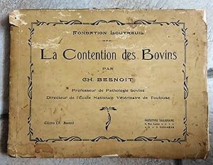 La contention des bovins