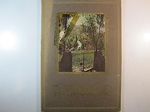 Seller image for ALBUM MERAVELLA: ANDORRA for sale by Costa LLibreter