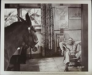 Seller image for Francis 8 x 10 Still 1949 Ray Collins and Francis! for sale by AcornBooksNH