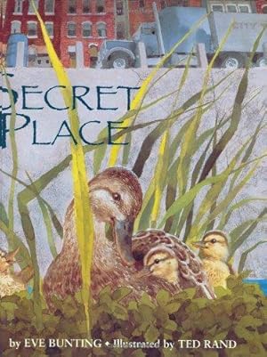 Seller image for Secret Place for sale by WeBuyBooks