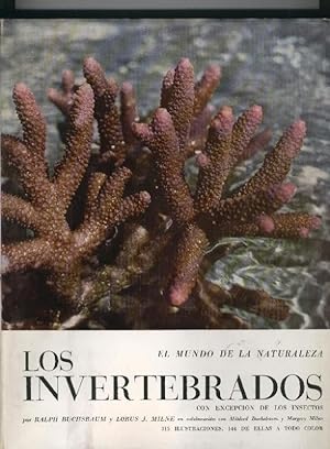 Seller image for El mundo de la naturaleza: Los invertebrados, con excepcion de los insectos for sale by El Boletin