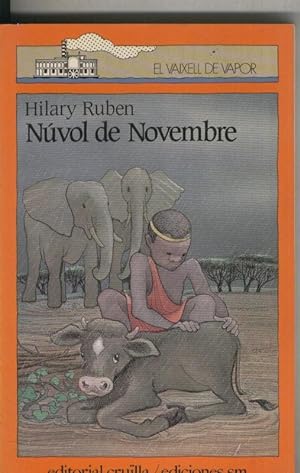 Seller image for Nuvol de novembre for sale by El Boletin