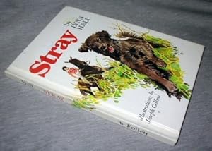Seller image for Stray for sale by Confetti Antiques & Books