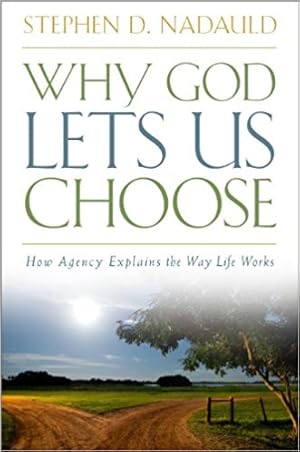 Why God Lets Us Choose - How Agency Explains the Way Life Works