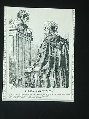 A Promising Witness ! Judge. Original wood Engraving