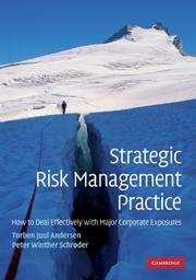 Bild des Verkufers fr Strategic Risk Management Practice: How to Deal Effectively with Major Corporate Exposures zum Verkauf von moluna