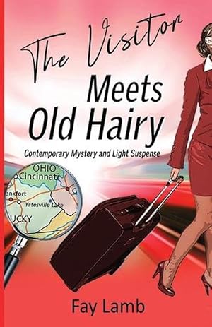 Seller image for The Visitor Meets Old Hairy (Paperback) for sale by Grand Eagle Retail