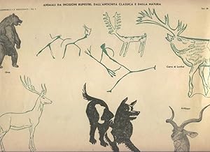 Immagine del venditore per Lamina 28: animali da incisioni rupestri, dallantichita classica e dalla natura venduto da EL BOLETIN