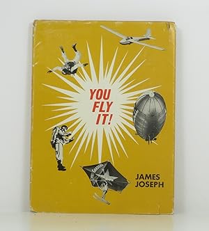 You Fly It!