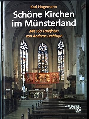 Image du vendeur pour Schne Kirchen im Mnsterland. mis en vente par books4less (Versandantiquariat Petra Gros GmbH & Co. KG)