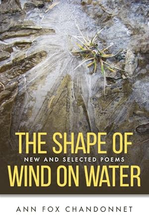 Image du vendeur pour Shape of Wind on Water : New and Selected Poems mis en vente par GreatBookPrices