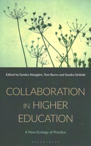 Seller image for Collaboration in Higher Education for sale by GreatBookPrices