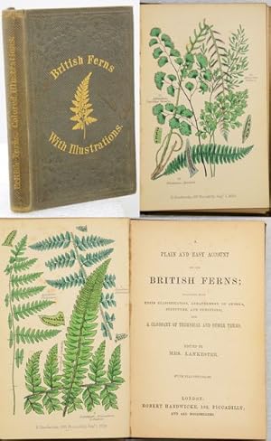 Seller image for A PLAIN AND EASY ACCOUNT OF THE BRITISH FERNS; Together with Their Classification, Arrangement of Genera, Structure, and Functions; And a Glossary of Technical and Other Terms. for sale by Francis Edwards ABA ILAB