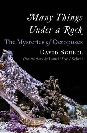 Seller image for Many Things Under a Rock (Hardcover) for sale by Grand Eagle Retail