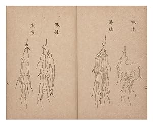 Onkosai Shinshi [Onkosai on Ginseng]