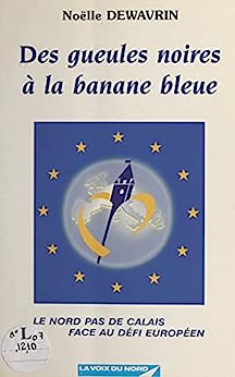 Imagen del vendedor de Des gueules noires  la banane bleue ou Le Nord-Pas-de-Calais face au dfi europen a la venta por Dmons et Merveilles