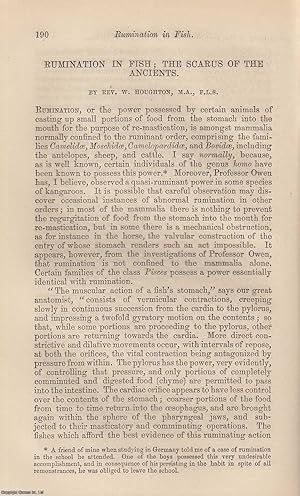 Seller image for Rumination in Fish , The Scarus of The Ancients. An original uncommon article from the Intellectual Observer, 1867. for sale by Cosmo Books