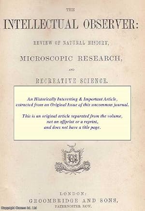 Imagen del vendedor de The Principles of Spectrum Analysis. An original uncommon article from the Intellectual Observer, 1862. a la venta por Cosmo Books