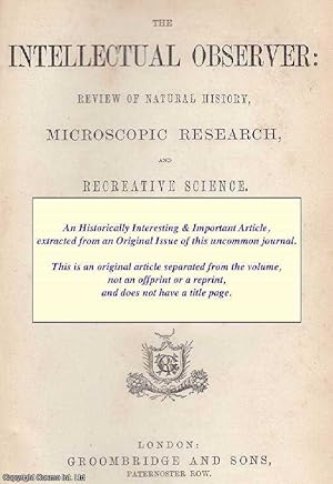 Seller image for Microscopic Crystals (Uric Acid and its Derivatives). An original uncommon article from the Intellectual Observer, 1865. for sale by Cosmo Books