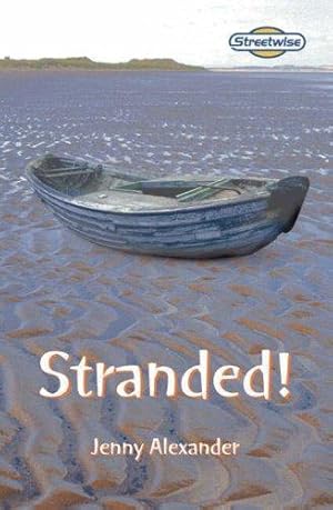 Immagine del venditore per Streetwise Stranded! (LITERACY LAND) venduto da WeBuyBooks