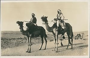 Maroc, Marrakech, Des Bédouins à Dromadaires