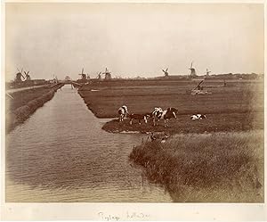 Hollande, paysage Hollandais