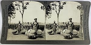 Keystone, Java, stereo, Carrying the Rice to Market, ca.1900