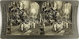 Keystone, Java, stereo, Children among the tropical palms, ca.1900