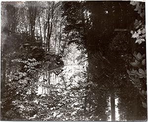 Nature, forêt et cours d'eau