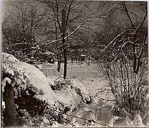 Nature, paysage hivernal